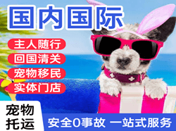 五台山机场物流国际宠物托运 【国